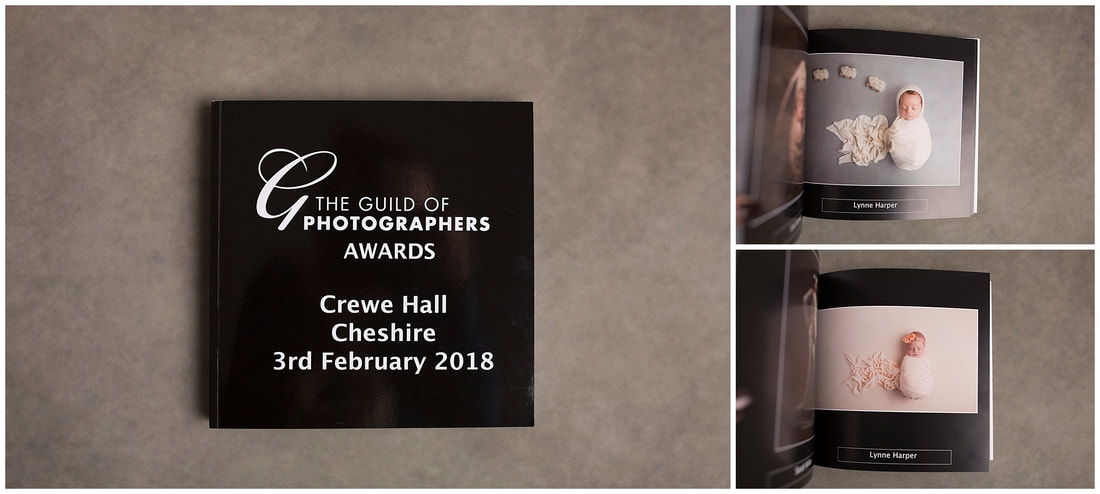 Guild of Photographers Image of the Year Book 2017