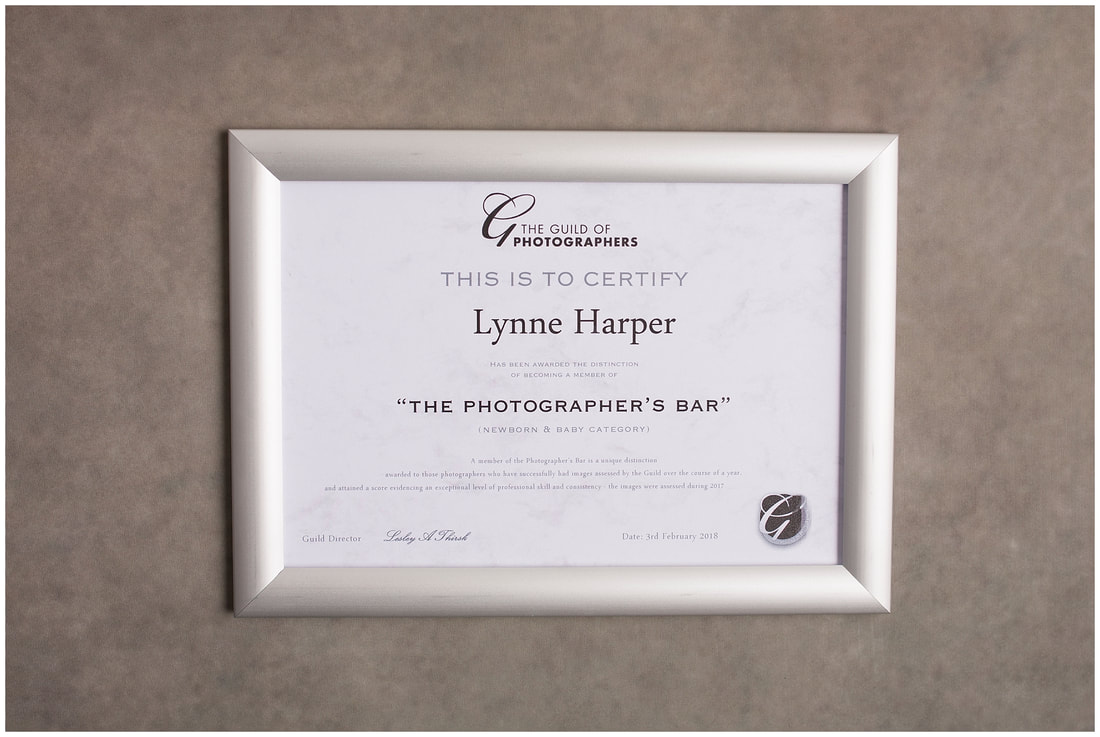 Lynne Harper Photographer's Bar certificate