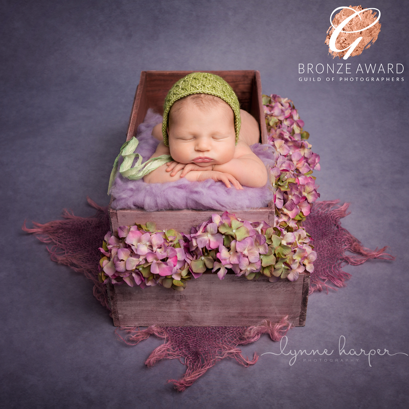 award winning baby girl image with spring flowers by lynne harper 